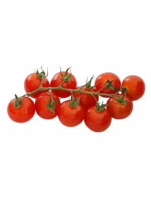 risotto de coquillette-tomate-les boomeuses