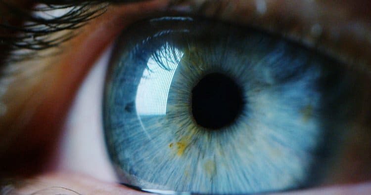 lumière bleu-violet nocive, comment protéger nos yeux ?
