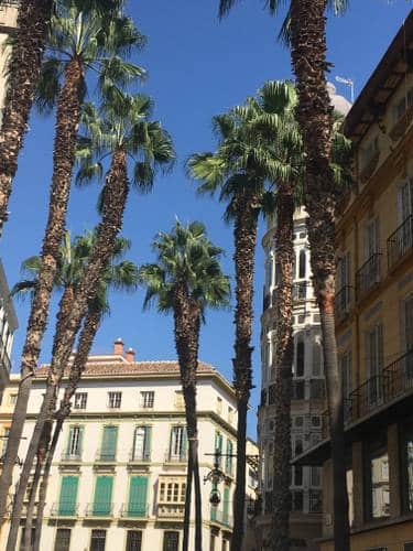 Rang de palmiers sur une place bordée d'immeubles à Malaga, publiée dans le magazine Les boomeuses