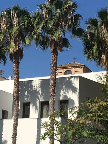 Photo d'une maison blanche avec devant des palmiers publiée sur le magazine les boomeuses