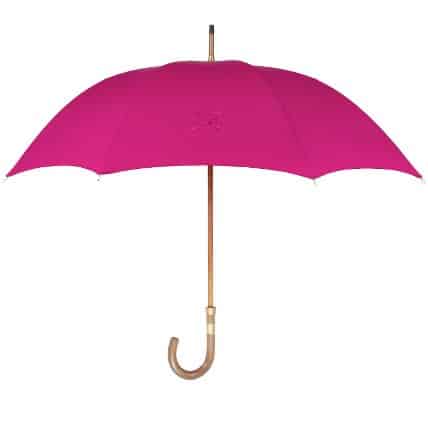 parapluie de cherbourg 
