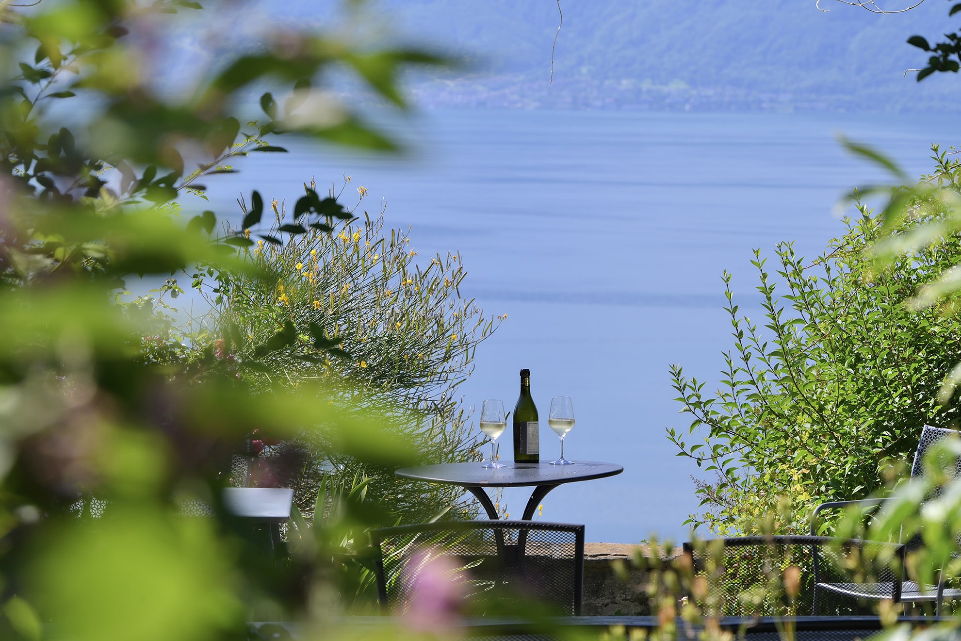 Suisse evasion