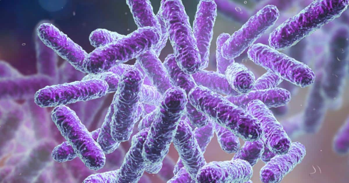 microbiote