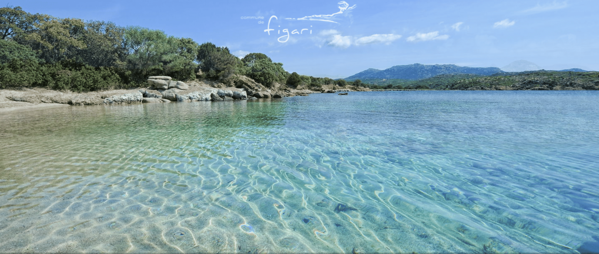 FIGARI
