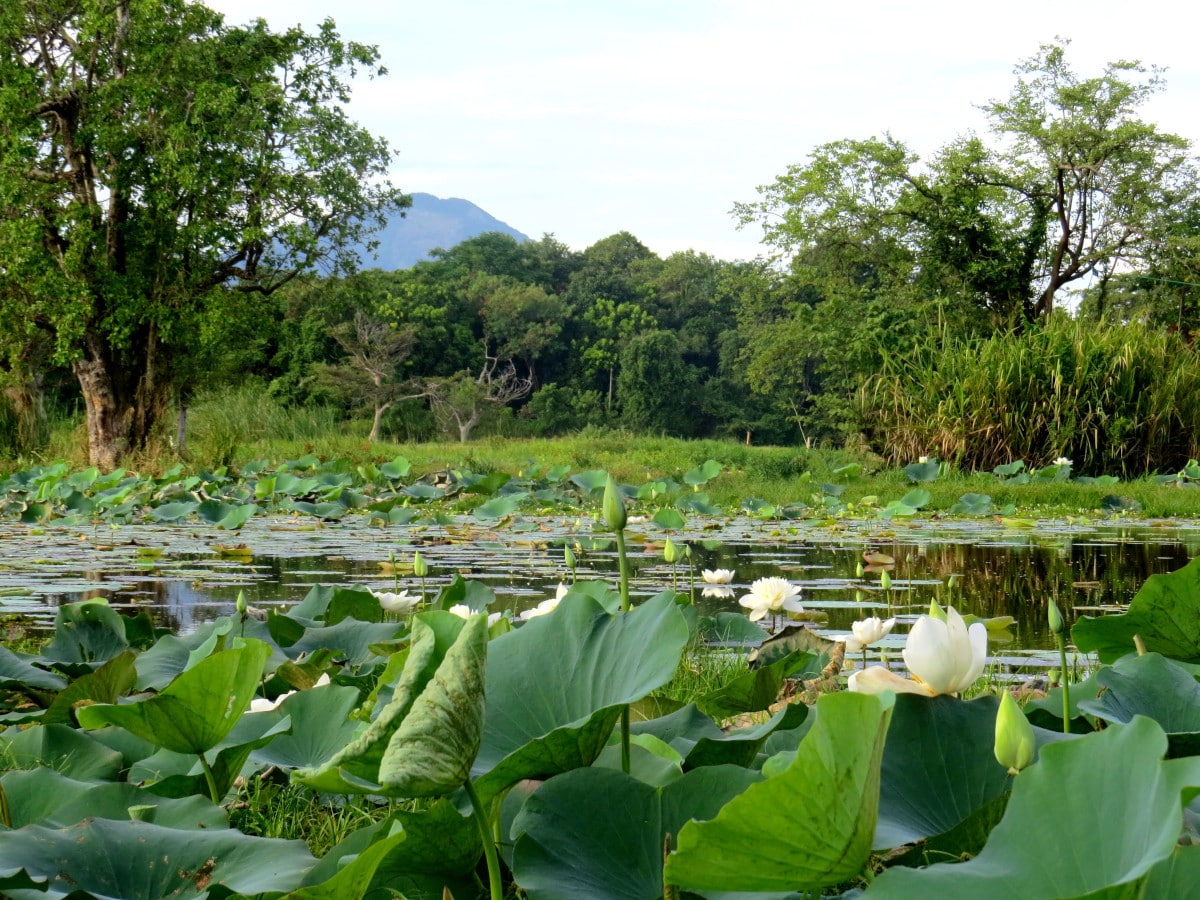 sri lanka tourisme