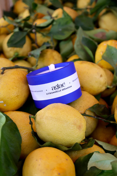 bougie citronelle Aglaé pour le jardin