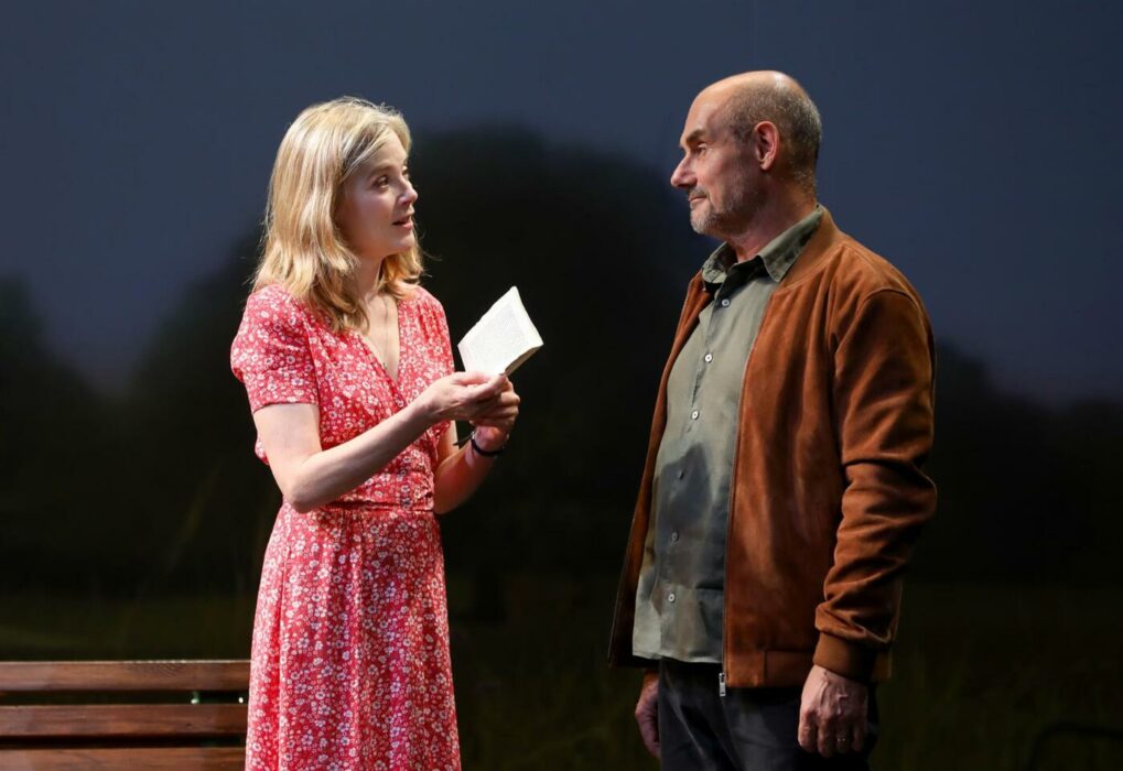 un pas de côté , pièce de théâtre avec bernard campan et isabelle carré