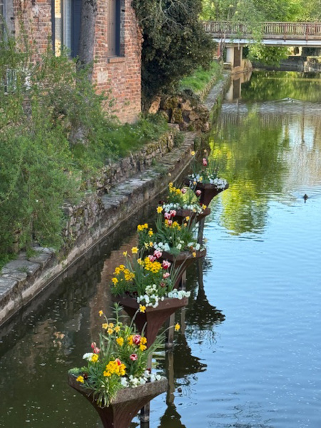 la dombes